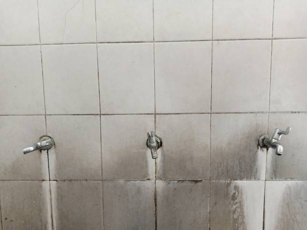 Best Fire Damage Restoration  in Eldora, IA