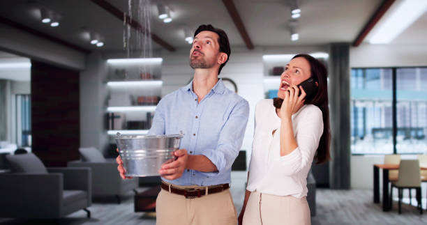 Best Water damage restoration near me  in Eldora, IA