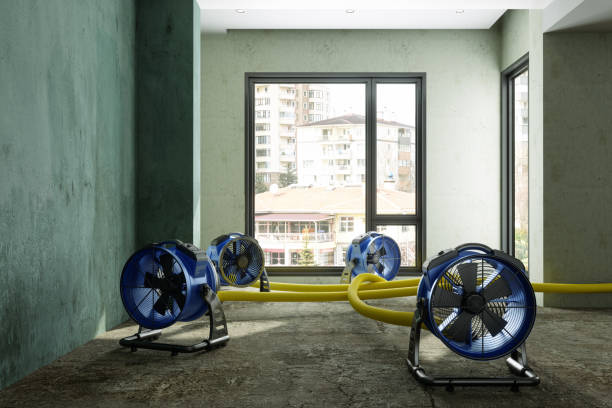 Best Ceiling water damage repair  in Eldora, IA